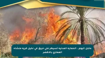 عاجل اليوم.. الحماية المدنية تسيطر على حريق في نخيل قرية منشأة العمارى بالأقصر